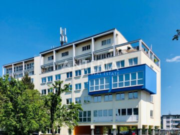 Bürogebäude mit Dachterrasse in verkehrsgünstiger Lage – Renovierung nach Mieterwunsch, 69123 Heidelberg, Bürofläche